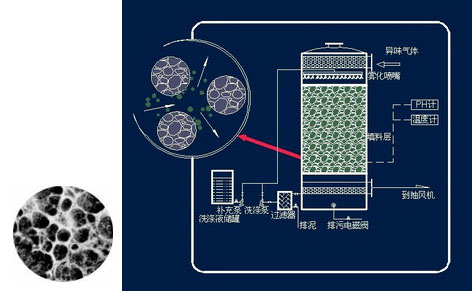 1562121815305432.jpg 圖片15.jpg